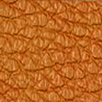 Shelly Italian Leather Fanny - multi colors