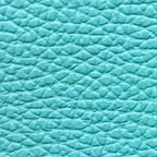 Shelly Italian Leather Fanny - multi colors