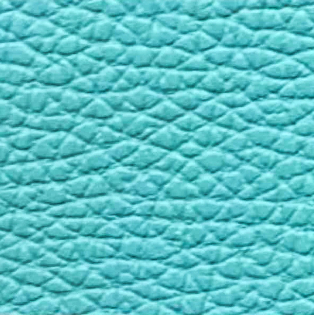 Shelly Italian Leather Fanny - multi colors